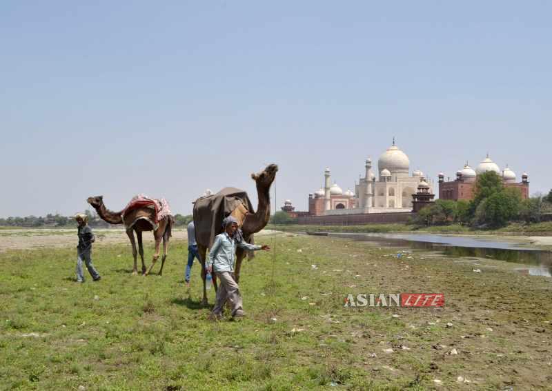 taj mahal