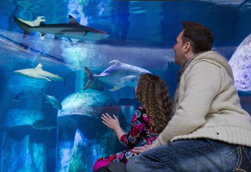 Visitors enjoying the SEA LIFE London Aquarium