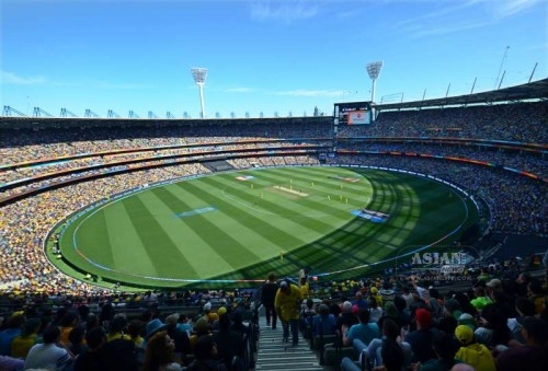 mcg world cup