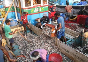 fishing trawlers