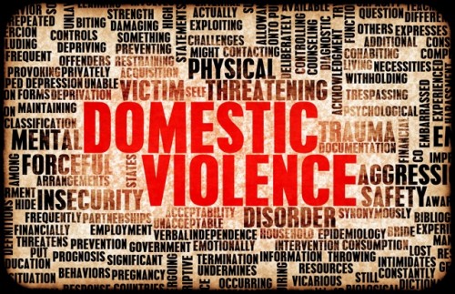 domestic violence logo