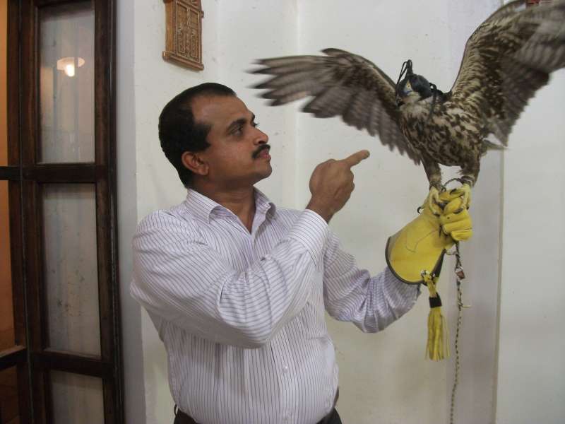 Dr Zubair with falcon