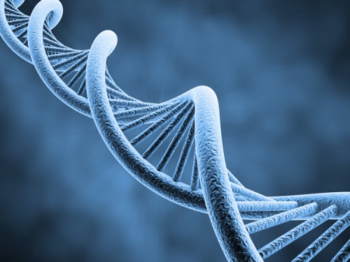 gene therapy dna