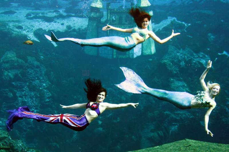 Mermaids at  London Aquarium