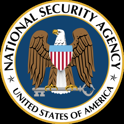 NSA logo