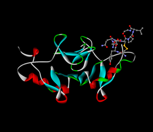 Oxytocin