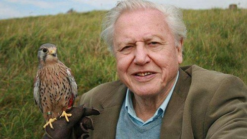 Sir David Attenborough