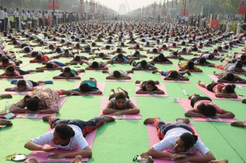 Thousands of participants performs Yoga during a full dress rehearsal for the International Yoga Day at Rajpath in New Delhi on June 19, 2015. 