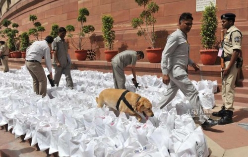 A sniffer dog inspect the documents pertaining to Rail budget 2015-16 for explosives before they are taken inside the Parliament in New Delhi