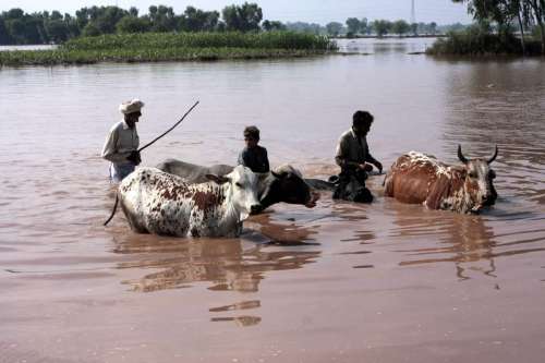 PAKISTAN-LAHORE-WEATHER-FLOOD