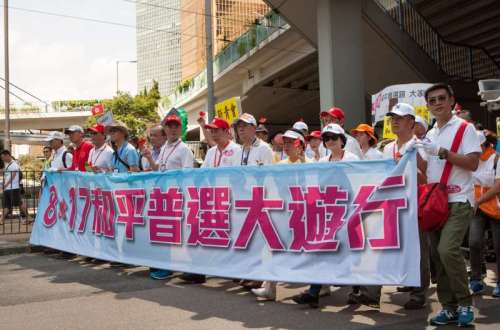 People participate in a march against the Occupy Central campaign in south China's Hong Kong, 