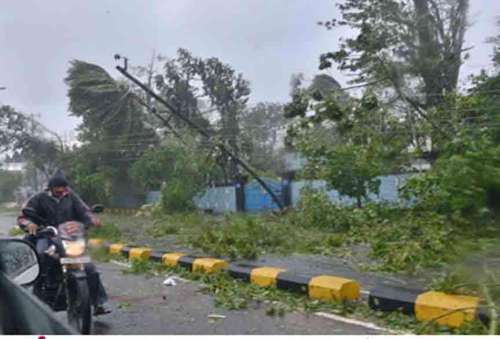 Uprooted trees and bent electric pole as as cyclonic storm Hudhud crosses the coast near the city 