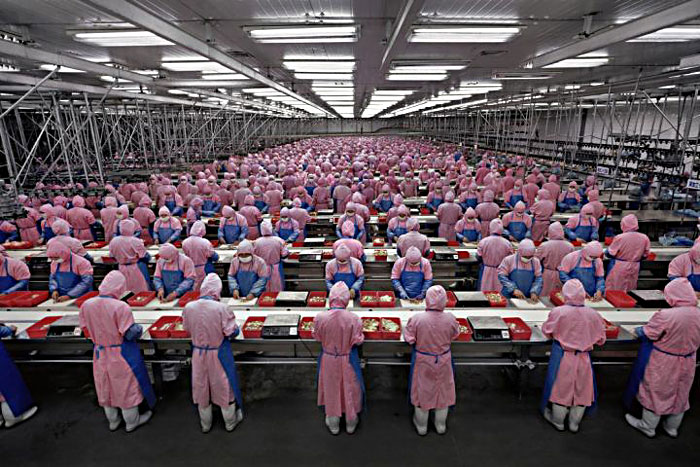 factory worker 