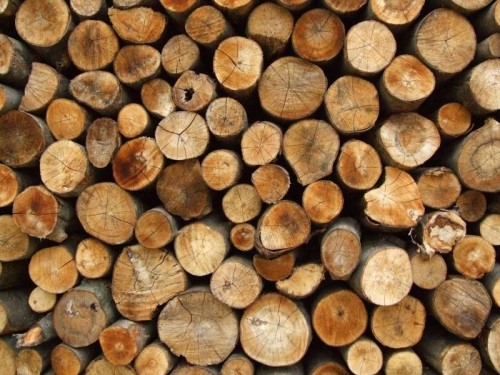 firewood