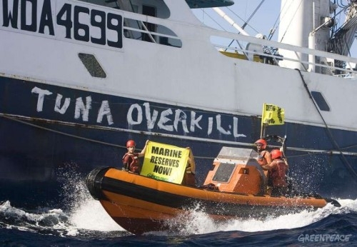 greenpeace-activists