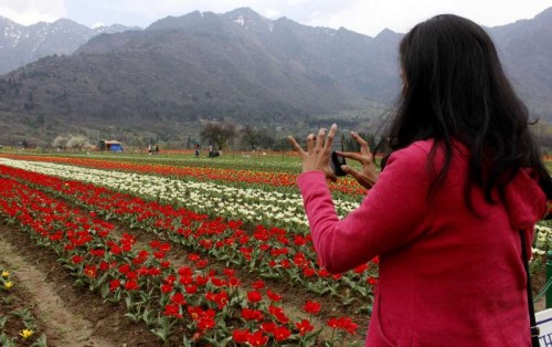 kashmir