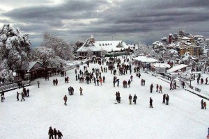 shimla himachal