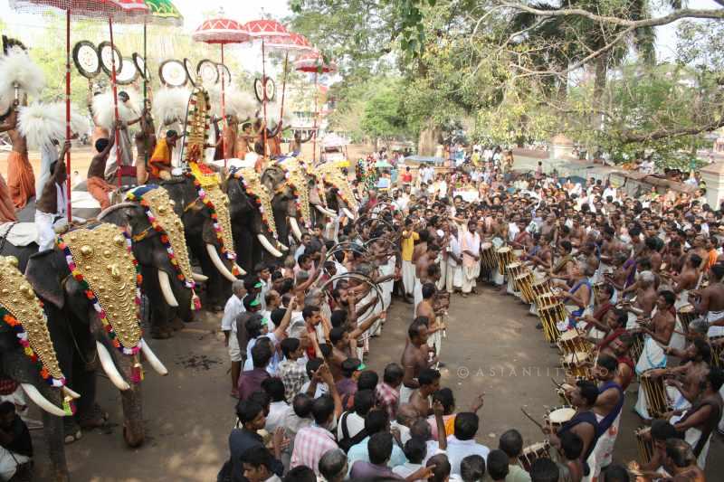A scene from Thrissur Pooram in Kerala 