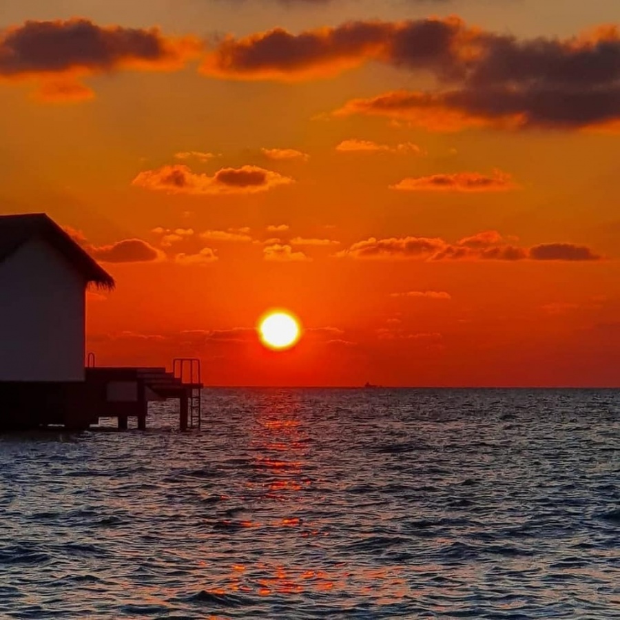 Virtual tourism: LA, Maldives livestream twilight calm. by . 